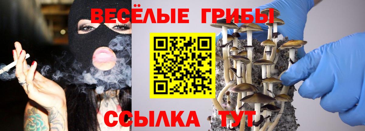 Галлюциногенные грибы Cubensis  Вход с VPN  Троицк 