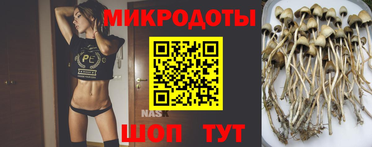 Псилоцибиновые грибы Magic Shrooms Троицк